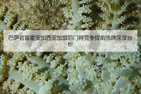 ba-sa-guan-xuan-huo-an-jia-xi-ya-jia-meng-hou-men-jiang-jing-zheng-ti-qian-xi-pai-shen-du-fen-xi-2-246.jpg
